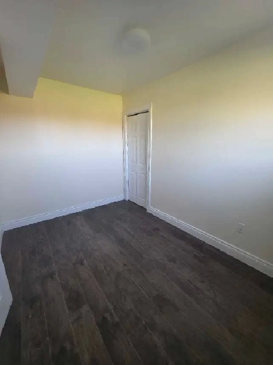 2 bedrooms, 1 bath Ground level apartment-close to MAPLE LEAF Image# 2