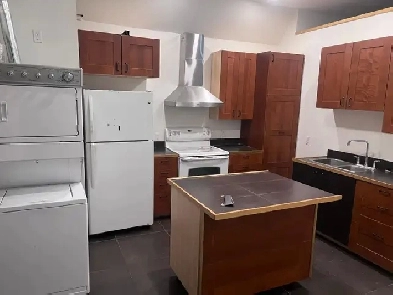 Fully Renovated 1-Bed   Den with Oversized Garage Image# 4