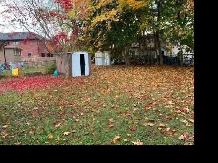 North York Detached House one bedroom for rent Image# 2
