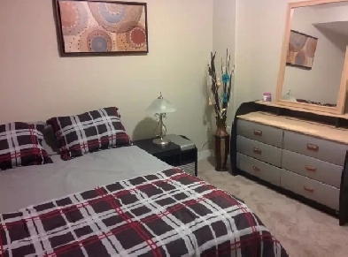 Fully furnished 1 bedroom basement suite in Eagle Ridge Image# 3