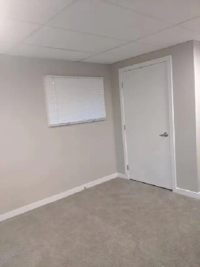 4 bedroom basement suite in Queensland, Calgary Image# 2