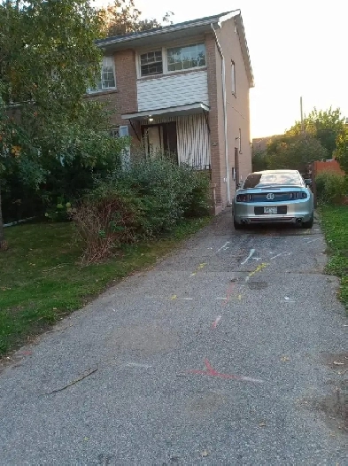 LARGE BASEMENT ROOM FOR SINGLE MALE VICTORIA PARK/YORK MILLS Image# 8