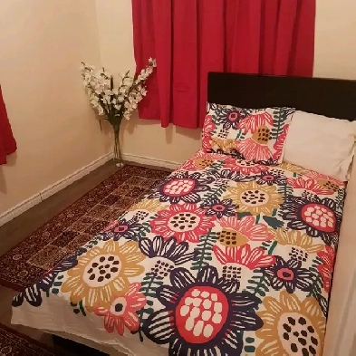 Edmonton Room Available for Rent 500 Image# 2