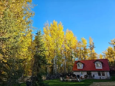 Lake cabin,  with heated garage, shed, and much more. Image# 4