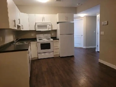 2 Beds 1 Bath Legal Basement Suite for Rent in Rosewood Image# 1