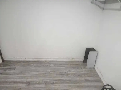 1200 baement for rent 416-825-7740 Image# 3