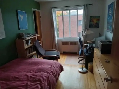 Chambre à louer Image# 1