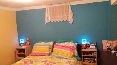 Shared House with 4 bedrooms and basement for rent in prime area Image# 8