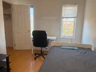 Room for Rent at York University-Finch West Subway now Image# 1