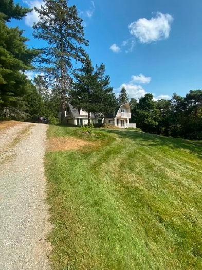 Appartement 3 1/2 a louer , Sherbrrooke, 850 $ Image# 1