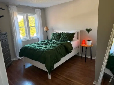 Fully Furnished Room Rental Image# 1