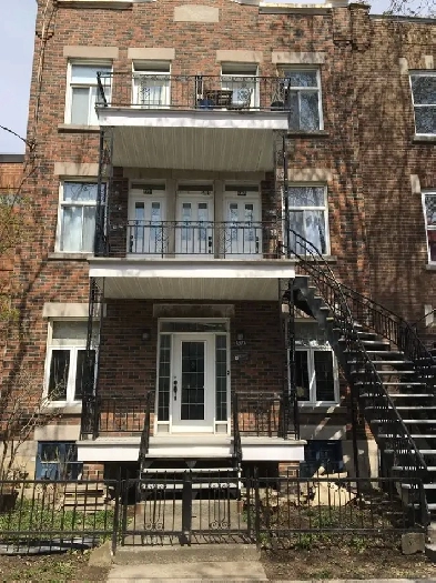 PETITE PATRIE - 4 1/2 de Normanville Image# 1