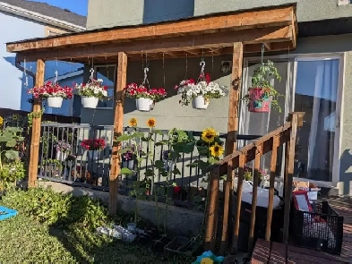 One Bedroom Basement for Rent Image# 1