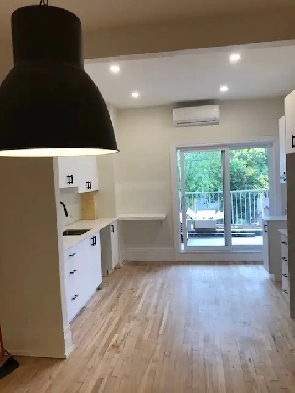 Grand 5 1/2 RÉNOVÉ Petite patrie Rosemont Image# 1