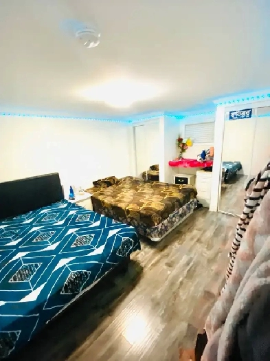 1st November room for rent Image# 1