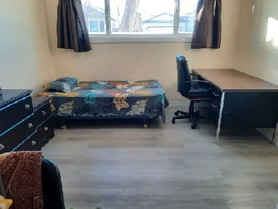 Room for rent in basement near Gurdwara Ramgarhia Image# 1