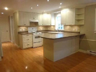 Renovated bright ,close to Douglas Park and King Edward Station Image# 11