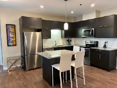 2 bedroom fully furnished condo Erindale short and longterm Rent Image# 1