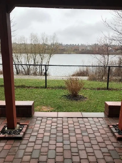 Furnished Walkout Lakefront apt 1300SF 1BR Den rent Bovaird/410 Image# 1