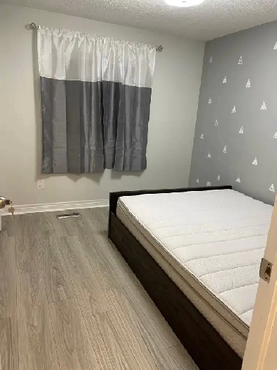 Richmond Hill Room for rent Image# 1