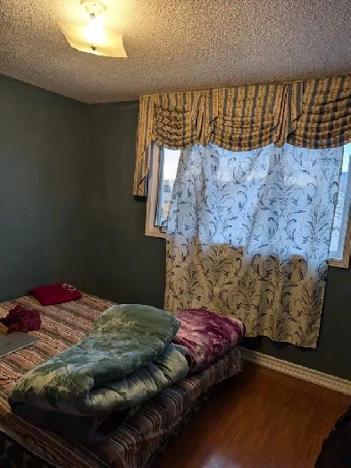 room available for girls on sharing basia Image# 1