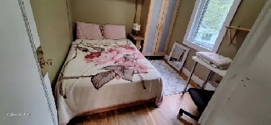 2 Rooms for Rent – Inglewood in Artistic Inner-City Home Image# 1