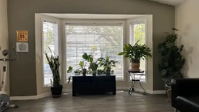 Room for Rent Private Rooms Close by Londonderry Mall and Supers Image# 1