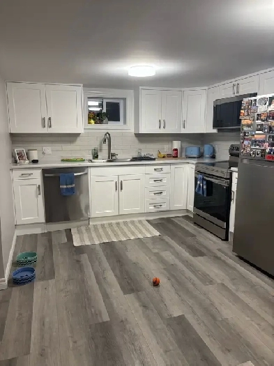 1 Bedroom North End Basement Apartment Image# 1