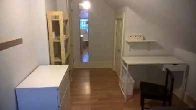 room for rent Image# 7