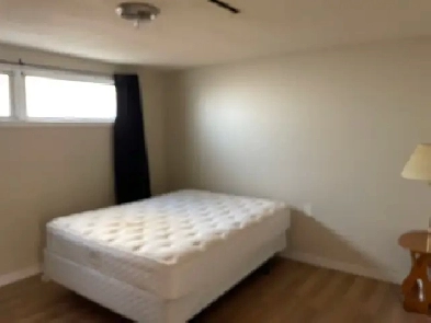 Room for Rent Image# 1