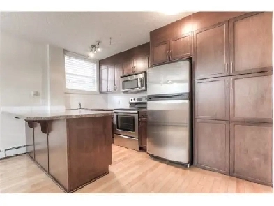 One bedrm condo.Utilities internet, parking included $1350 Image# 1