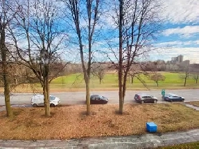 2 bedroom with den/ 1.5 bath room in Manor park Image# 1