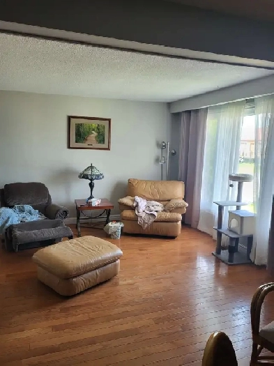 Private Basement room 900$ all inclusive. Lgbtq  friendly Image# 6