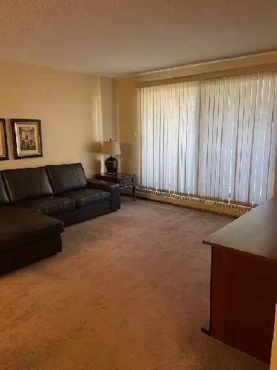 Fully Furnished Connaught/Beltline Image# 1