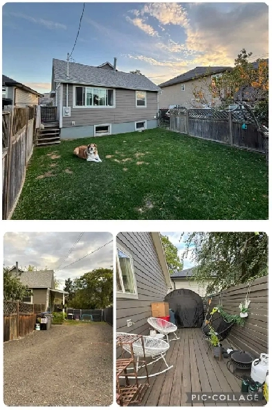 Whole house, 2 bedroom, 1 bath farmhouse charmer for rent Image# 10