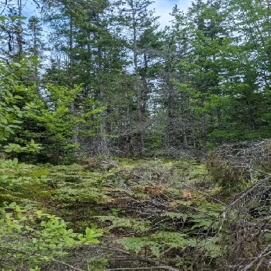 Waterfront and Inland Property Image# 1