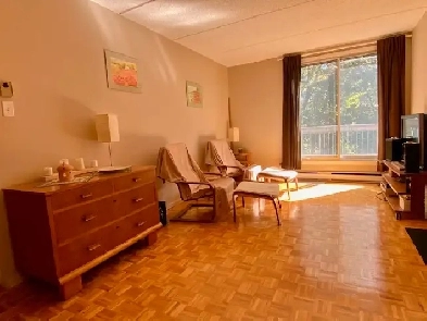 3.5 à Île-des-Soeurs - transfert de bail fin décembre 2025 Image# 1