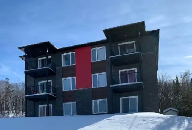 Appartement 4 1/2 Style Condo à louer