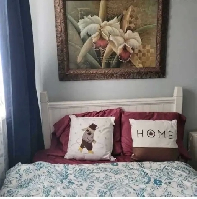 Room for rent - York U Image# 1