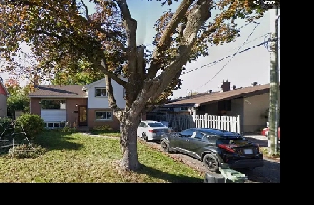 Spacious and Renovated One Bedroom Apartment - Nepean / Maitland Image# 1