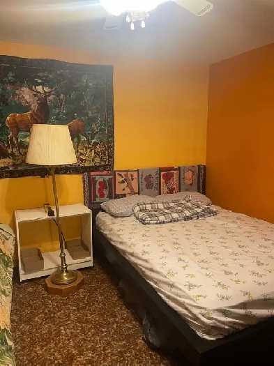 room for rent (Drumheller) Image# 1