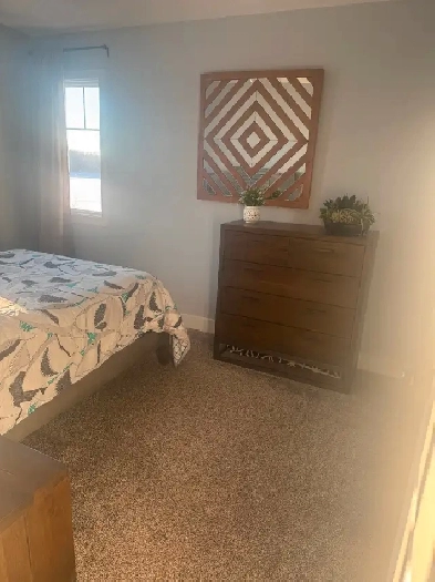 Looking female roommate Image# 1