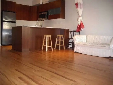 $1,700 Junior 1br Condo  477ft2 for Rent (Surrey Ce Image# 1