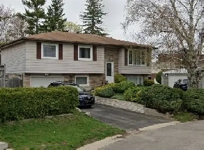 Clean & Spacious 1 Bedroom   Den Apartment Available NOV 1st Image# 1