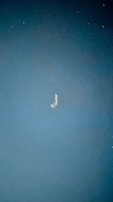 2 bedroom legal basement suite @ Brighton Image# 1