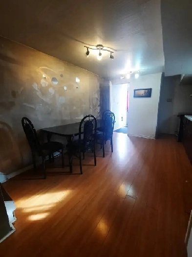 WALKOUT Basement for Rent $1350 Image# 1