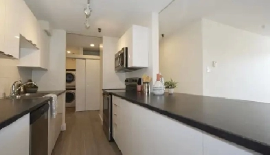 Beautifully renovated 2 bedroom suite for November 1st! Image# 1