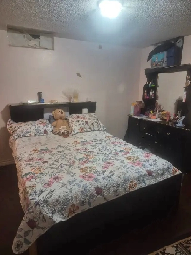 Beautiful bachelor Basement for rent Image# 1