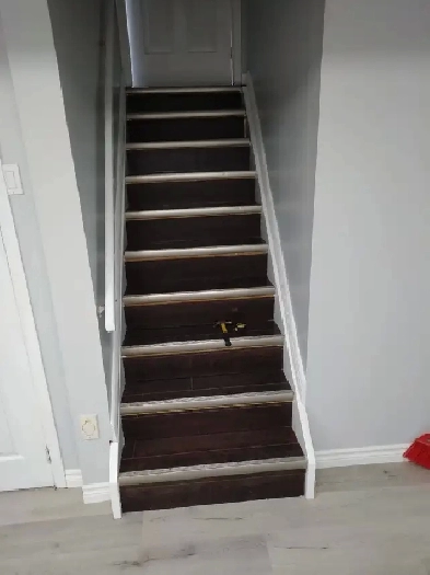 Heartland 2 BDRMS newly renovated basement for rent Image# 1