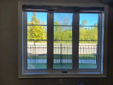 1 bedroom walkout (not basement) ground level apartment for rent Image# 1